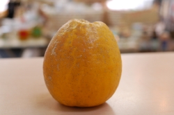 DSC_0001.JPG