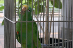 DSC_0011.JPG