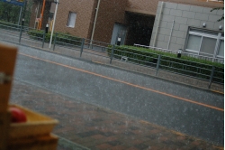 DSC_0012.JPG