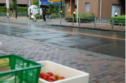 DSC_0004.JPG