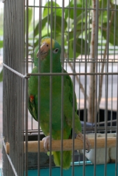 DSC_0011.JPG